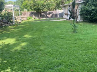 Jeannie R.'s Yard Cutting service result