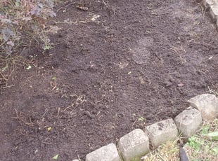 Weeding by Shawn Darland for Chris S. in Virginia Beach, VA