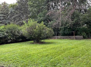 Shannon H.'s Lawn Maintenance service result