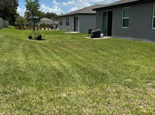 Rose C.'s Grass Cutting service result