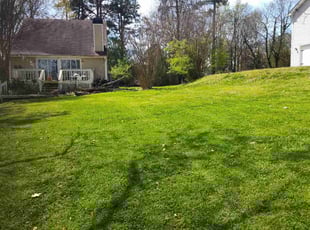 Gwen G.'s Lawn Mowing Service service result