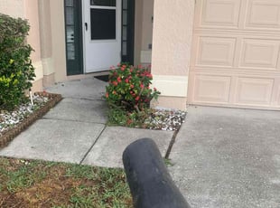 Bush Trimming by Jay Jesse for Mariam Z. in Orlando, FL