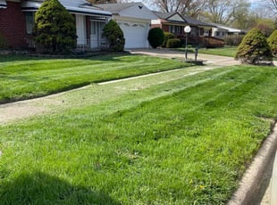 George M.'s Lawn Mowing Service service result