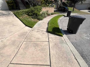 Candace J.'s Lawn Maintenance service result