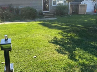 Edward G.'s Grass Cutting service result