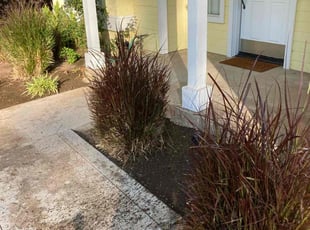 Bush Trimming by Alex Rodriguez for Stacey G. in Fresno, CA