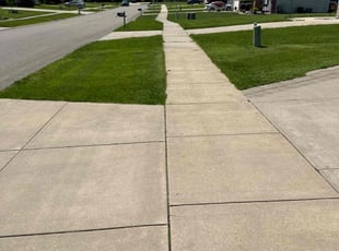 Ajaang D.'s Lawn Mowing Service service result