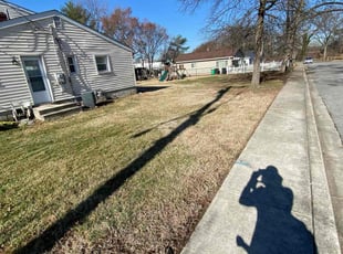 Leaf Removal by Pablo Andrade for Rome J. in Greater Landover, MD