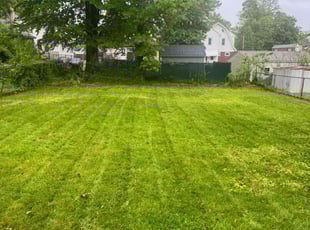 Bernard B.'s Lawn Mowing service result