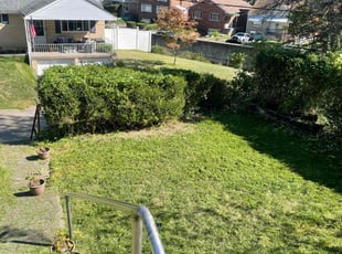 Roxanne C.'s Lawn Maintenance service result