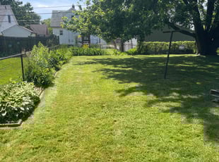 Brandon S.'s Grass Cutting service result