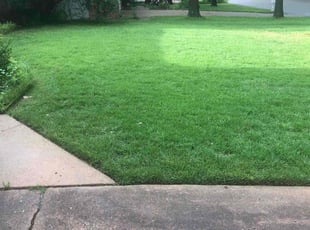 Leaf Removal by Paul Handley for Philip B. in Tulsa, OK
