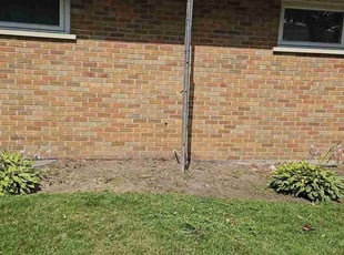 Weeding by Bryan Rodriguez for Shirley B. in Skokie, IL