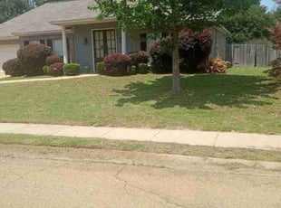 Bush Trimming by Angela Holley for Latasha J. in Brandon, MS