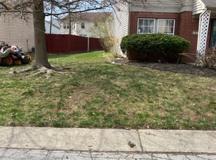 Leaf Removal by Blake Jordan for Mekisha C. in Indianapolis, IN