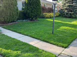 Tara M.'s Lawn Service service result