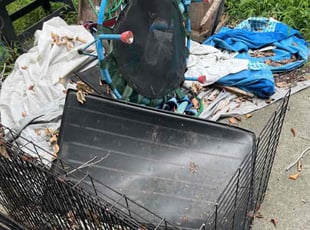 Cleanups by Nicholas Harter for Cody L. in Virginia Beach, VA
