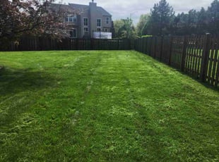 Peyton T.'s Lawn Care service result