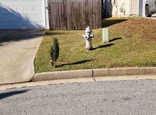 Dominic L.'s Lawn Service service result