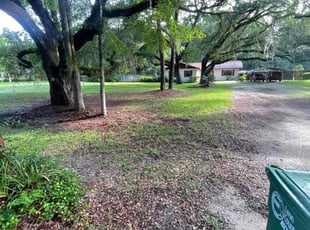 Bush Trimming by Herschell Bradley for Patty C. in Tallahassee, FL