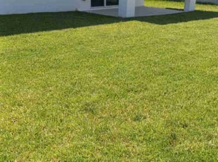 Brian O.'s Lawn Service service result