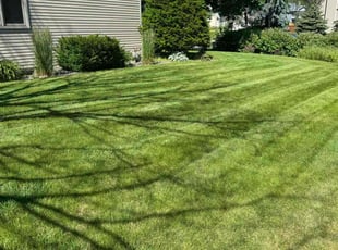 Lee F.'s Lawn Mowing service result