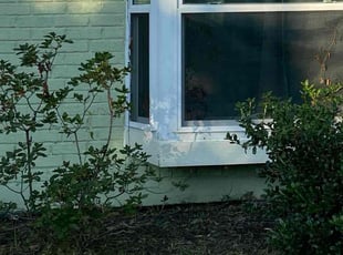 Weeding by Yendis Mack for Emily W. in New Orleans, LA