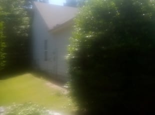 Bush Trimming by James Johnson for Kaitlyn P. in Acworth, GA