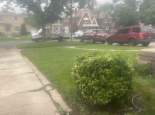 Bush Trimming by Gregory Williams Sr for Gwendolyn A. in Detroit, MI