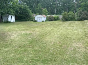 Peniel J.'s Lawn Mowing service result