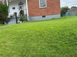 Betty J.'s Lawn Care service result