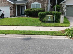 Bush Trimming by Horace Swann for Eve C. in Jacksonville, FL