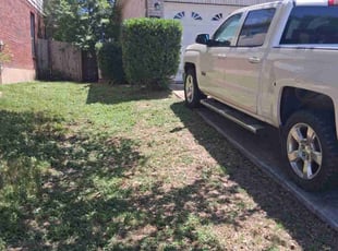 Bush Trimming by Jason Salazar for Naomi C. in San Antonio, TX