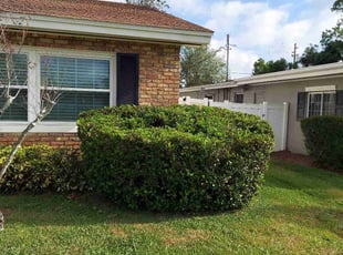 Bush Trimming by Marlon Green for Richard D. in Orlando, FL
