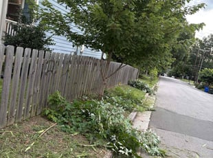 Bush Trimming by Jonathan Cabrera for Nick L. in Durham, NC