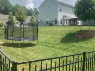 Mario P.'s Lawn Mowing service result