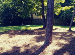 Cleanups by Jacob Jones for Dzintra L. in Marietta, GA