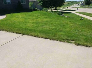 Parthenia p.'s Lawn Service service result
