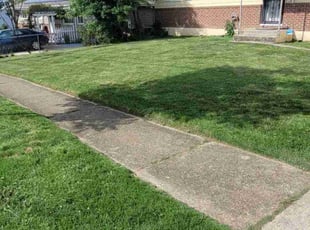 Sandra A.'s Grass Cutting service result
