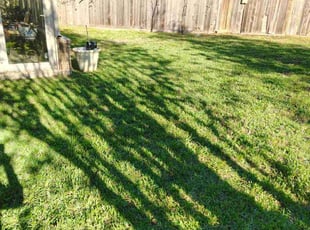 Monique E.'s Lawn Care service result