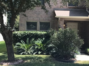 Bush Trimming by Miguel Garcia for Colt C. in San Antonio, TX