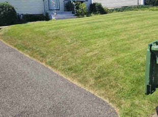 Stacy B.'s Lawn Mowing service result