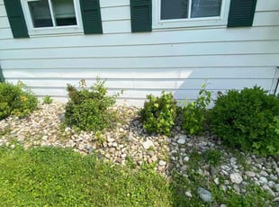 Weeding by Trey Johnson for Jacob L. in Loveland, OH