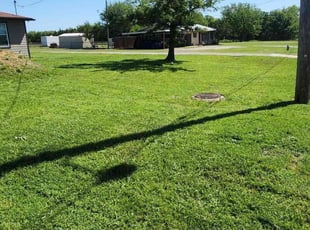 Brenda H.'s Lawn Mowing service result