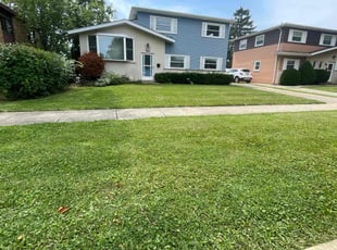 Joe D.'s Grass Cutting service result