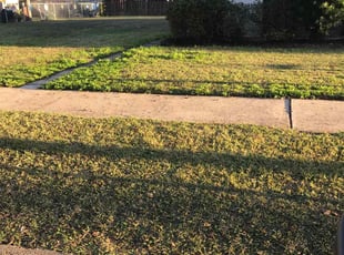 Weeding by Chris L for Cayla M. in Metairie, LA