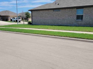 Lizbeth p.'s Lawn Mowing service result