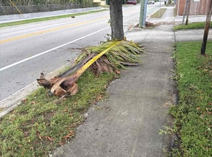 Cleanups by Deron Bethel for Patrice C. in West Palm Beach, FL