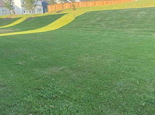 Ian C.'s Lawn Care service result