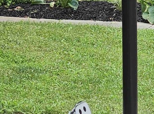 Mulching by Yobani Benitez for Stacey C. in Bowie, MD